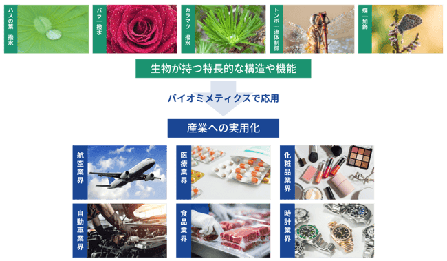 バイオミメティクスとは