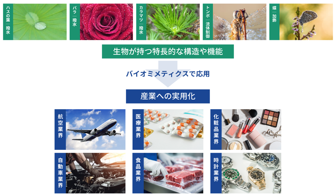 01|バイオミメティクスとは