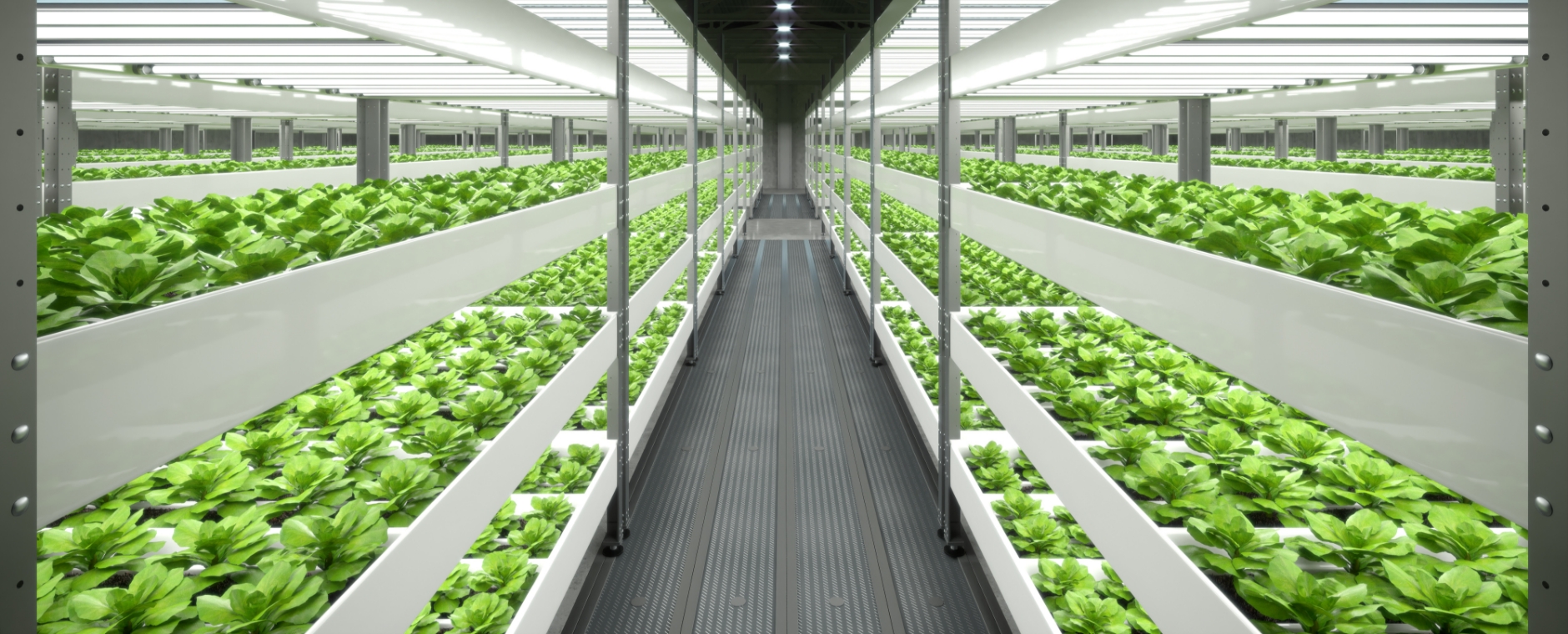 billboard_smart_agri