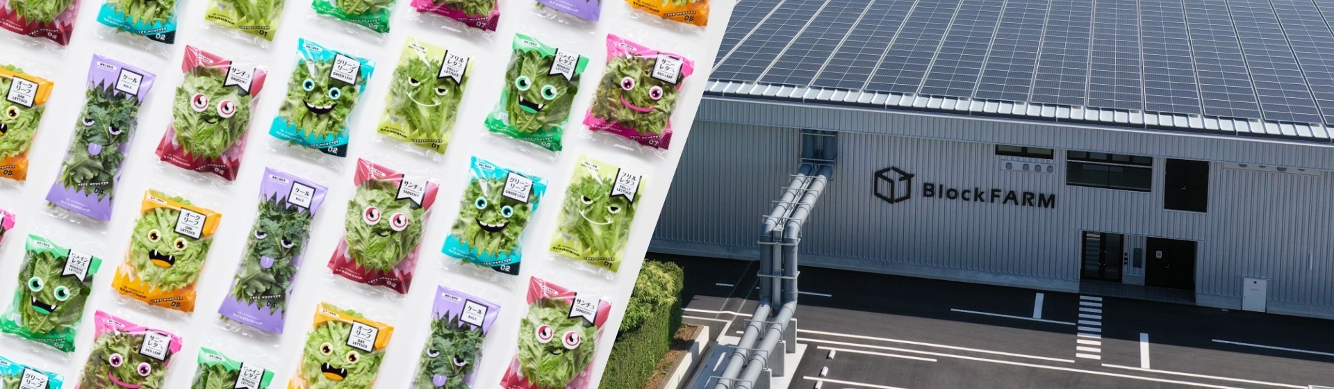 RYODENグループの植物工場野菜