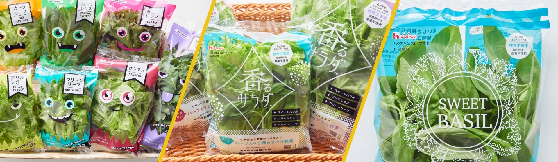 RYODENの 植物工場野菜