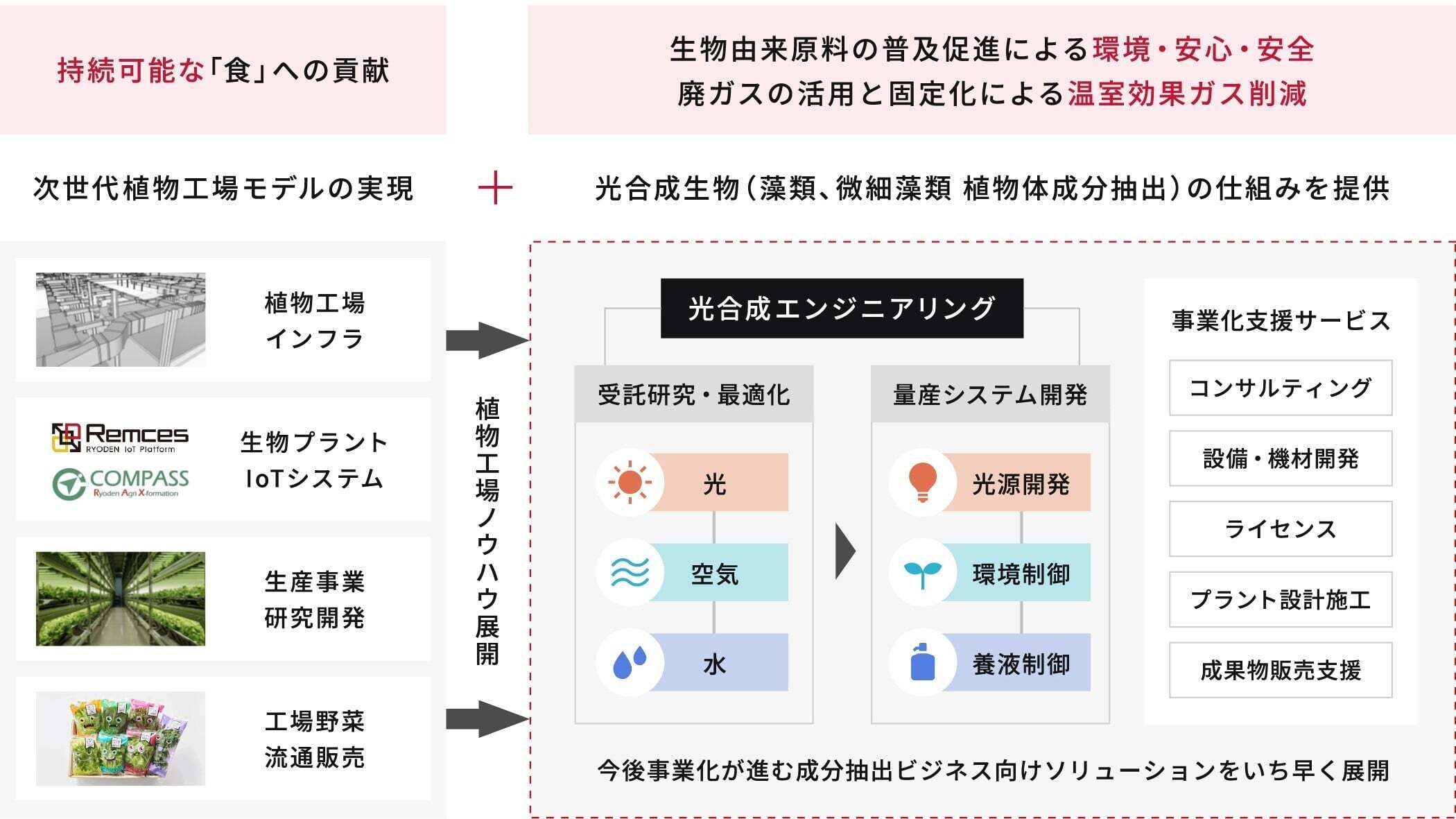 光合成エンジニアリングの説明資料01