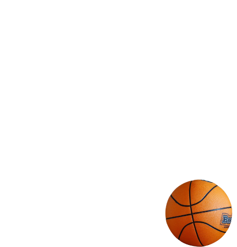 週末の楽しみはバスケットボール。