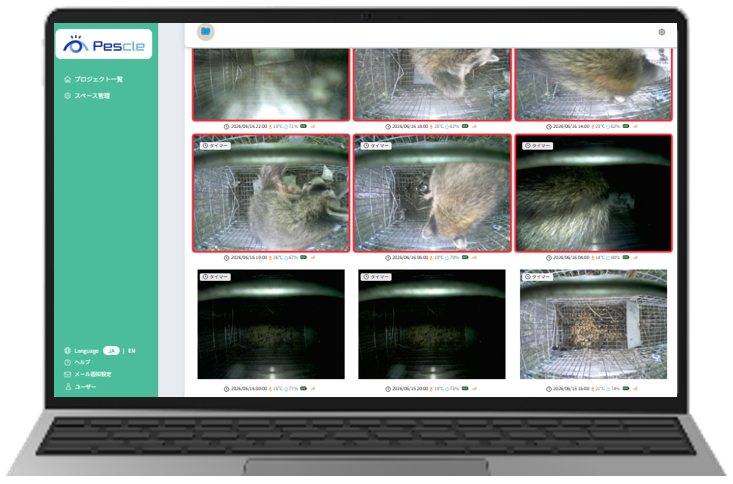 img-lite_6-1