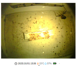 img-lite_8-2_2