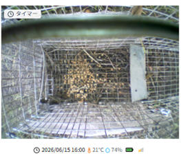 img-lite_8-4_2